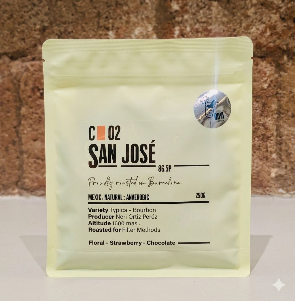 SAN JOSÉ